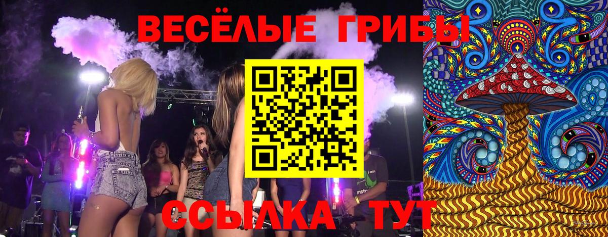 Галлюциногенные грибы прущие грибы Наро-Фоминск