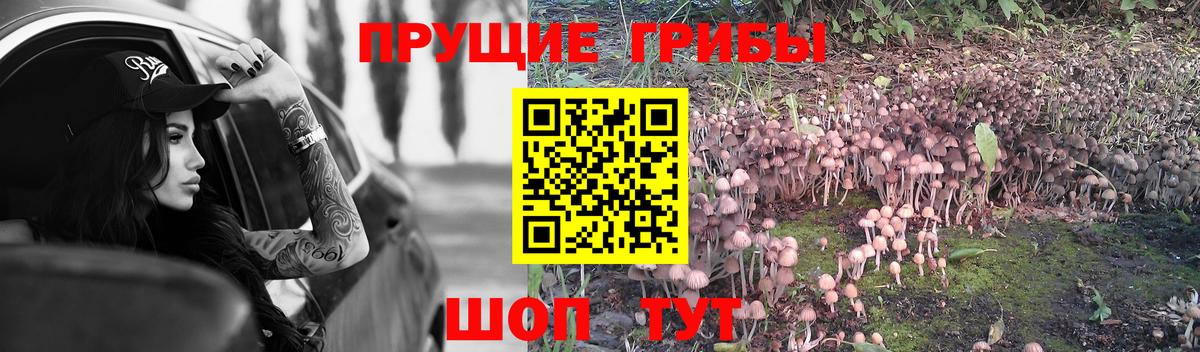 Наро-Фоминск  Псилоцибиновые грибы MAGIC MUSHROOMS  Вход с VPN  Галлюциногенные грибы ЛСД 